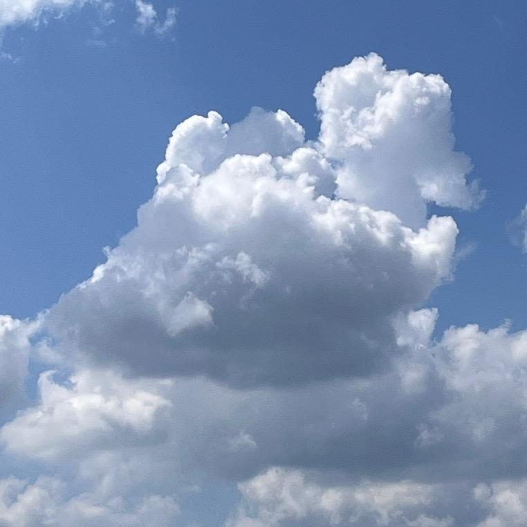 陈子雷