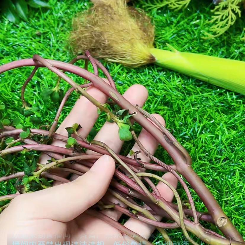 宣传💧🚦企业店-2