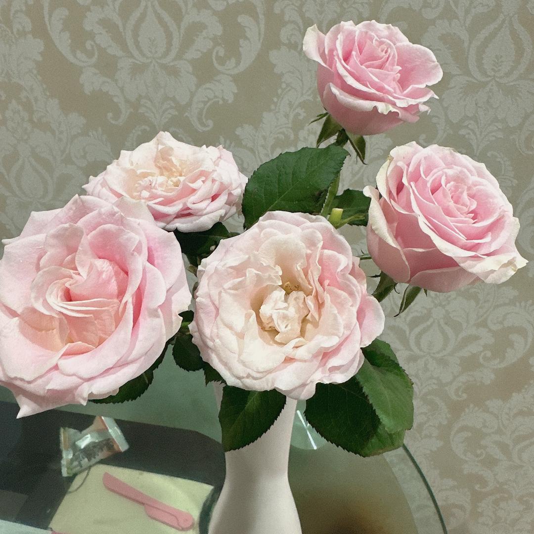 🏡幸运💝相伴🎎