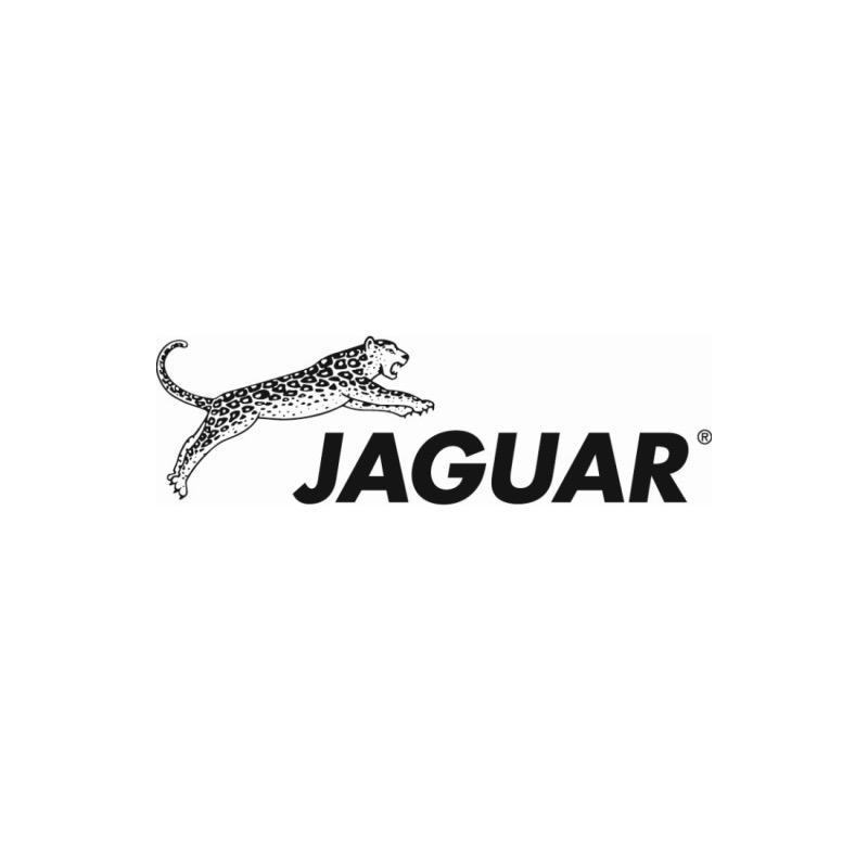 JAGUAR德国丛林豹中国总代