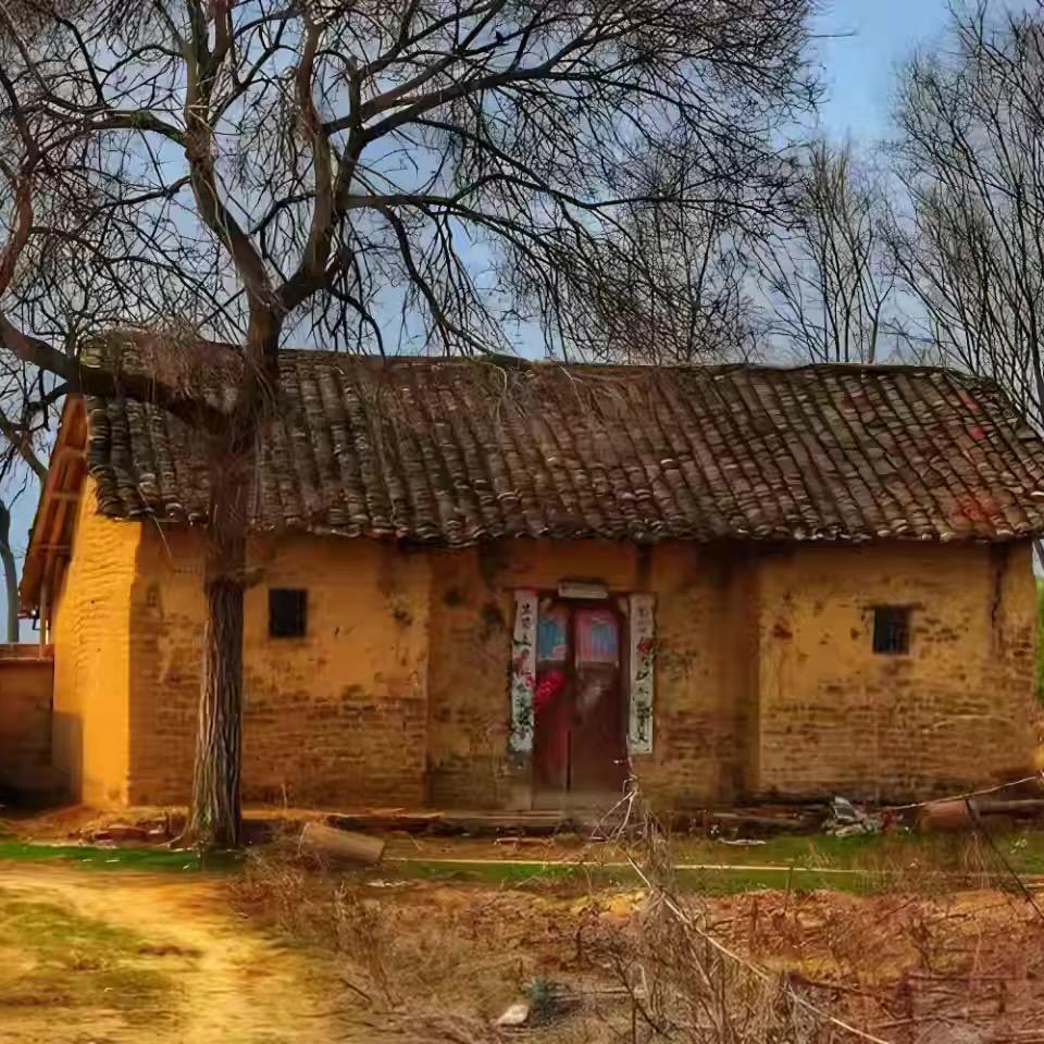 禾西旧货杂货铺