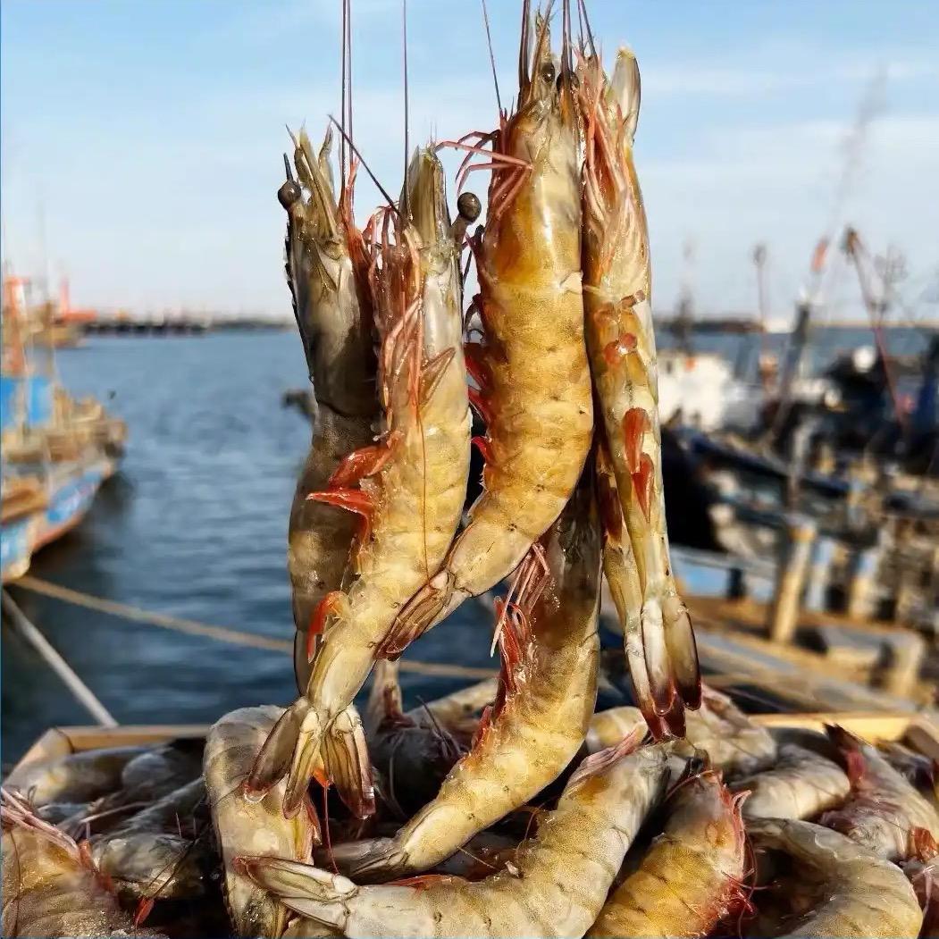 林家海鲜店大虾批发