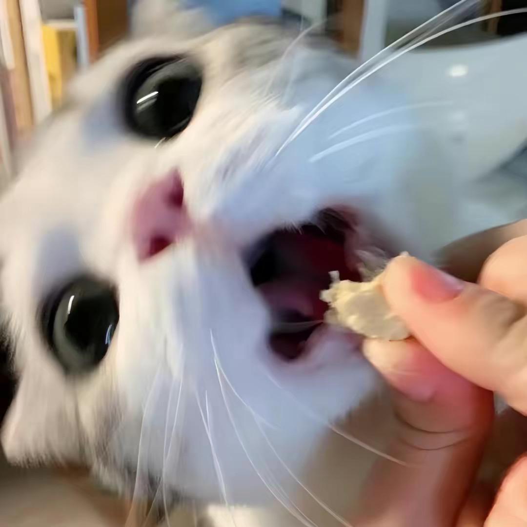 chooo
