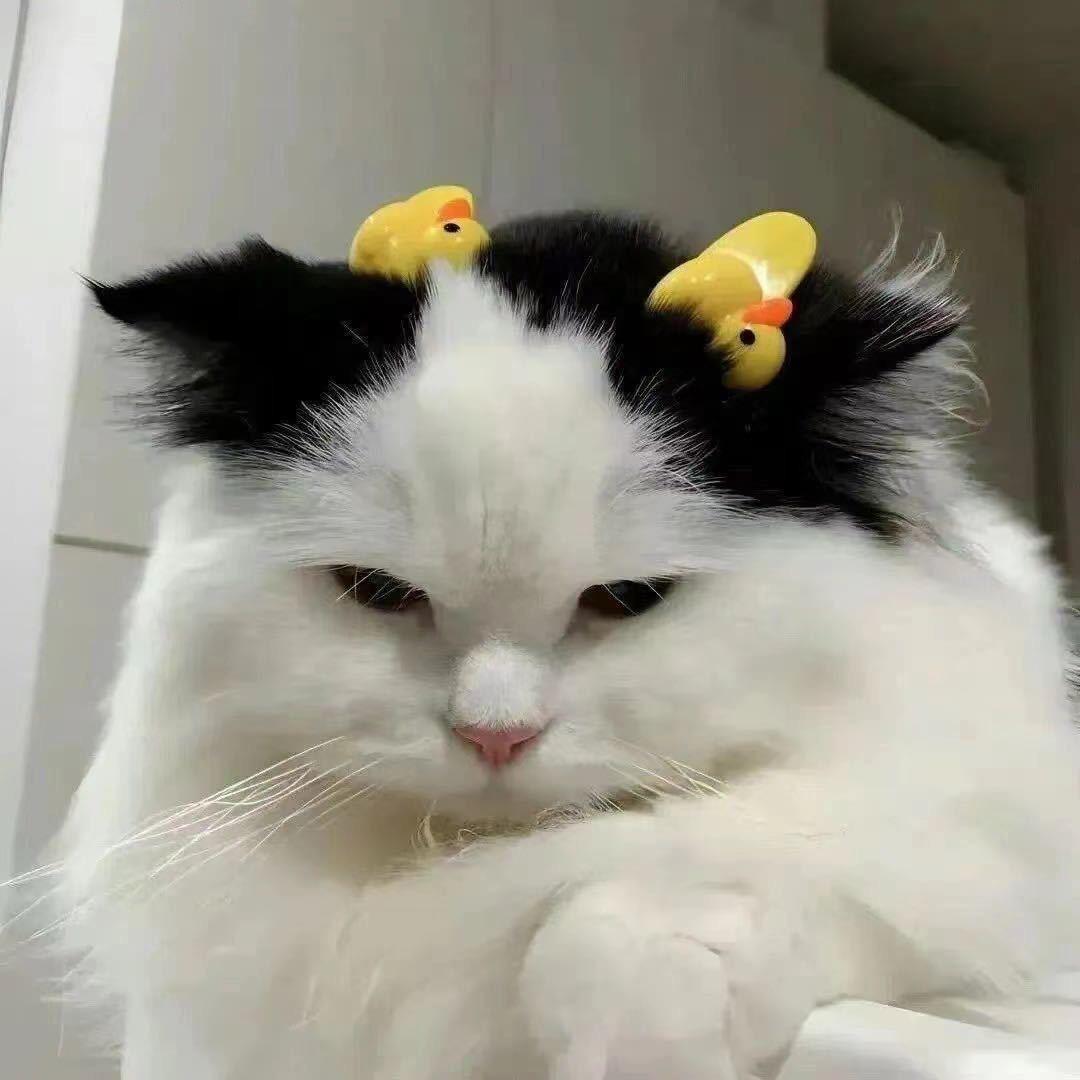 海神电竞闻白（三角洲行动）