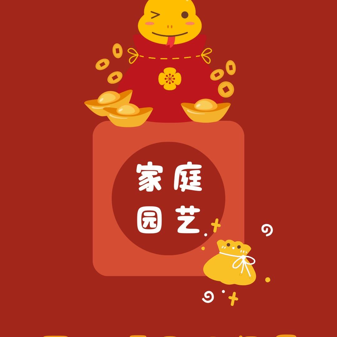 家庭小园丁