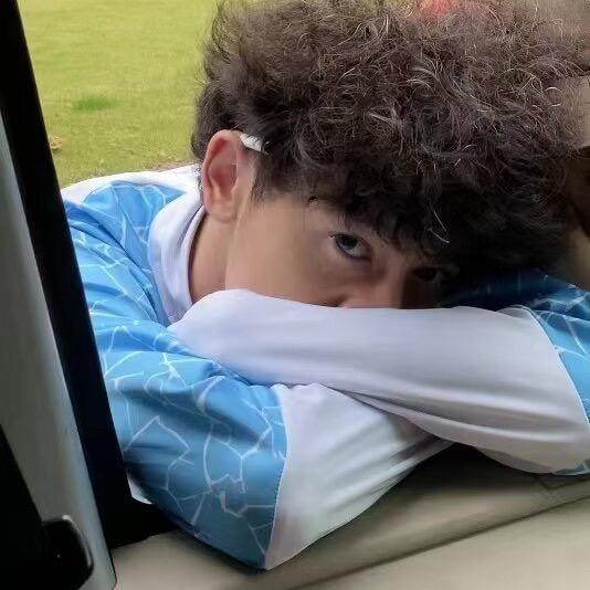 阿尔卑斯的弟弟阿尔卑微