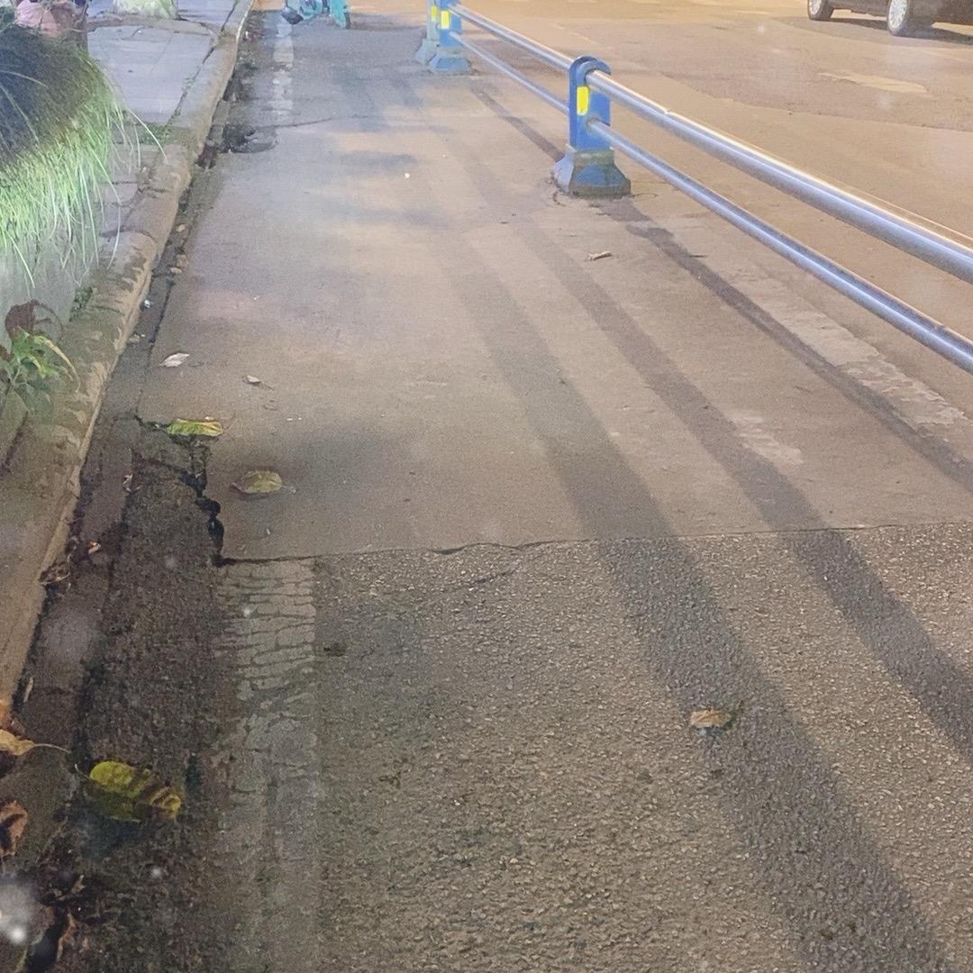 家庭水培蔬菜🥬