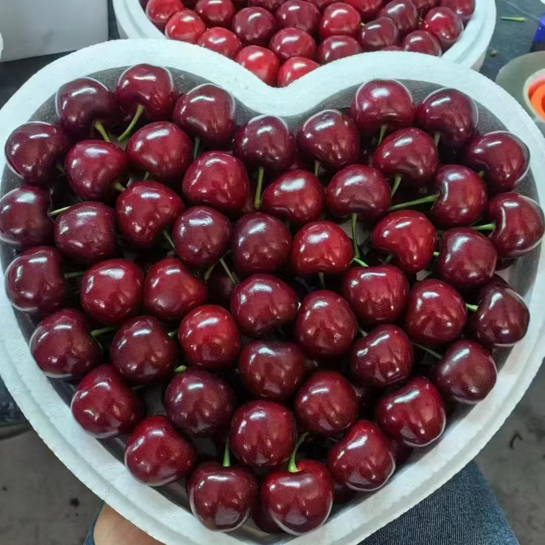 鑫源生鲜优选