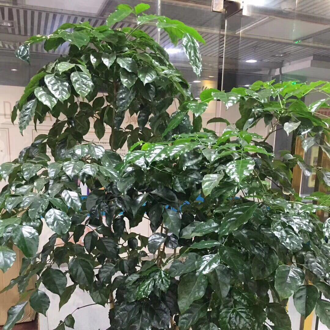 林昌勇