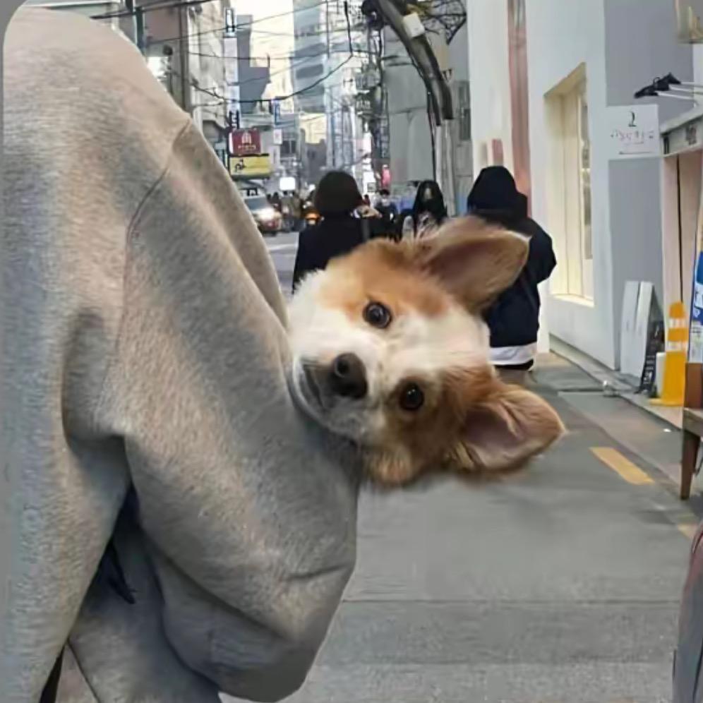 瑞升