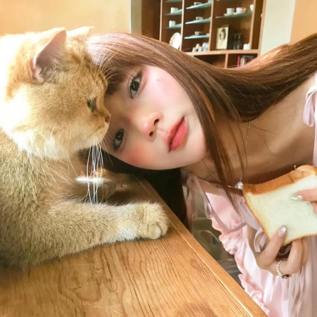 猪猪.