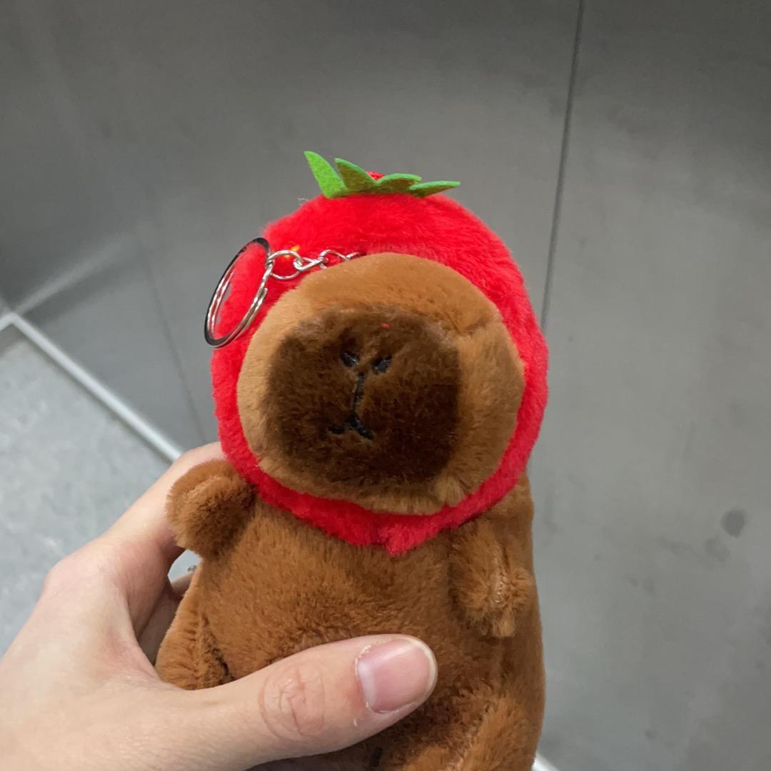 大肥的铲屎官
