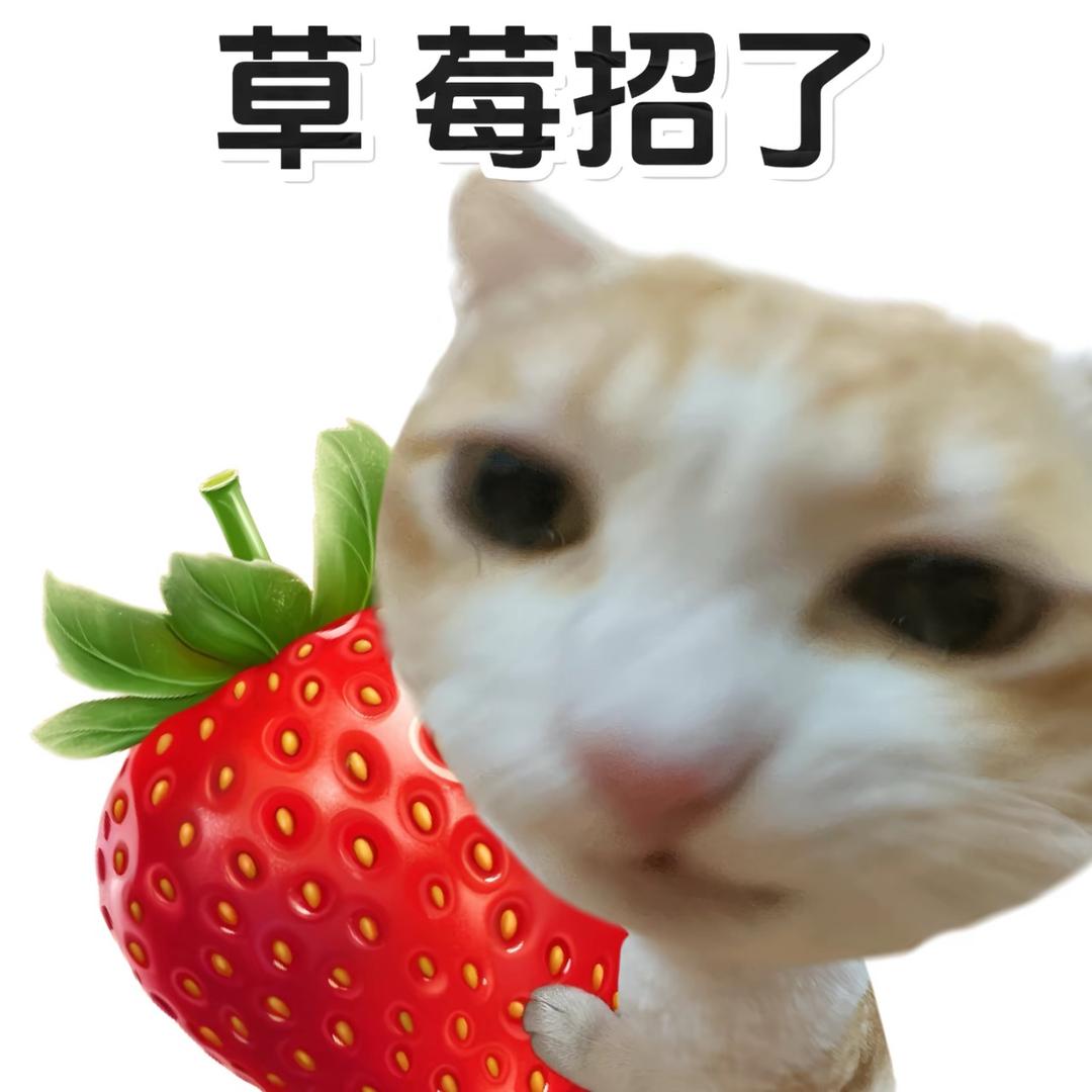 小七爱七🍛🥢