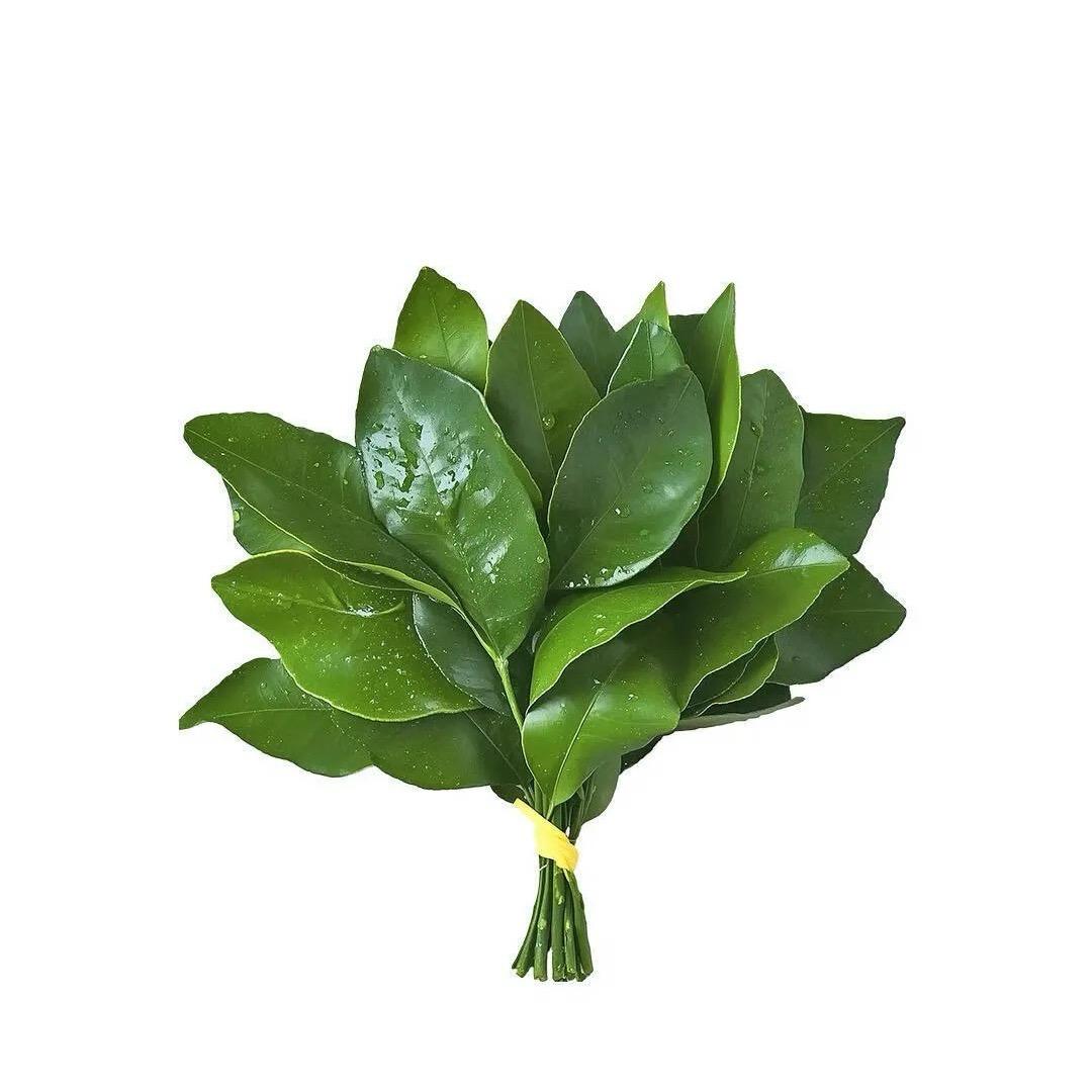 清清.
