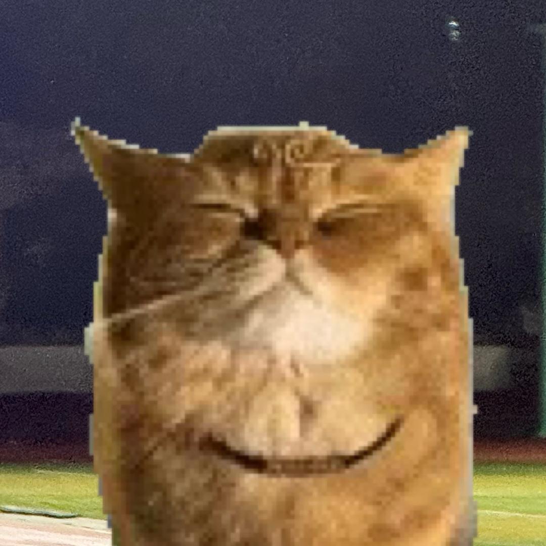 w w w