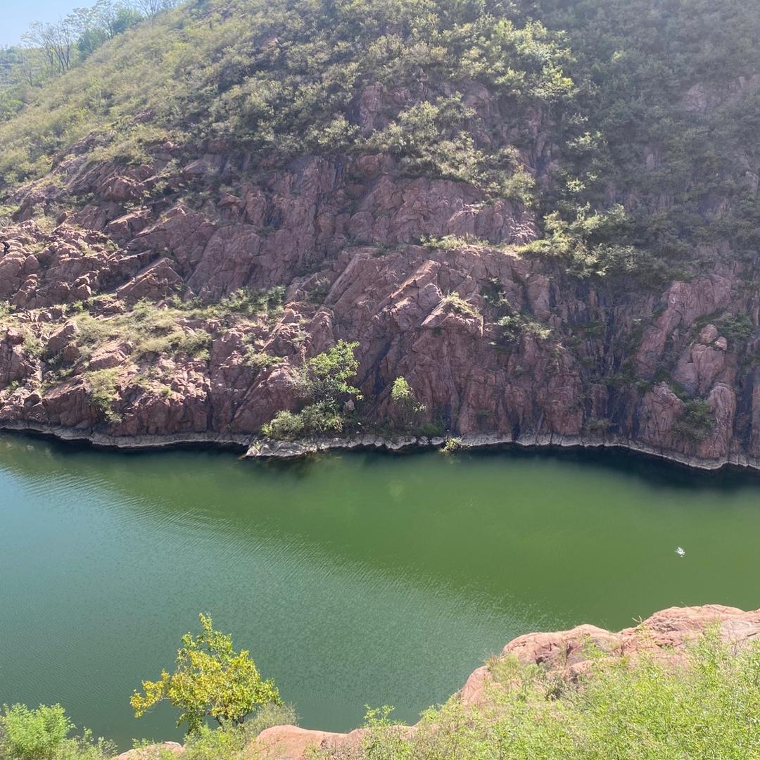 小楼一夜听春雨