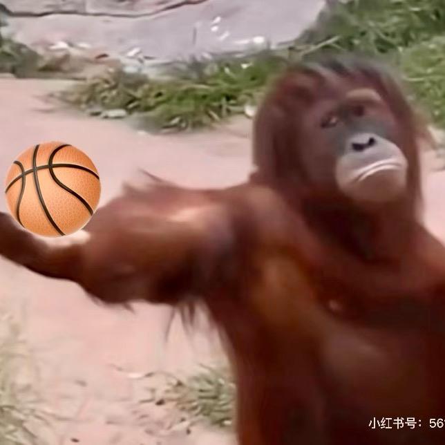 小粥不emo（见过张杰版）