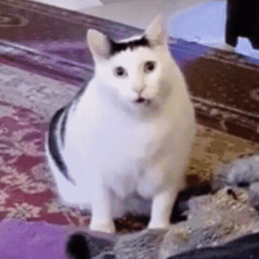 一顿2碗。就是不胖