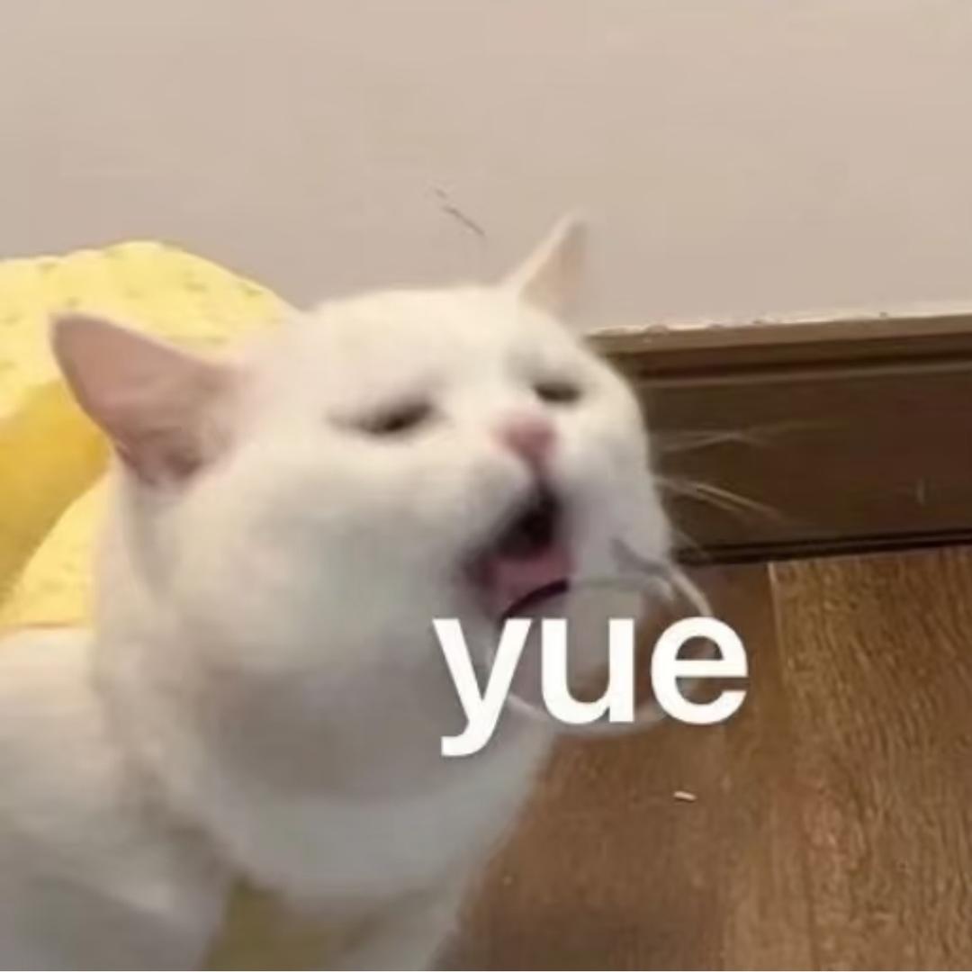 好好呀