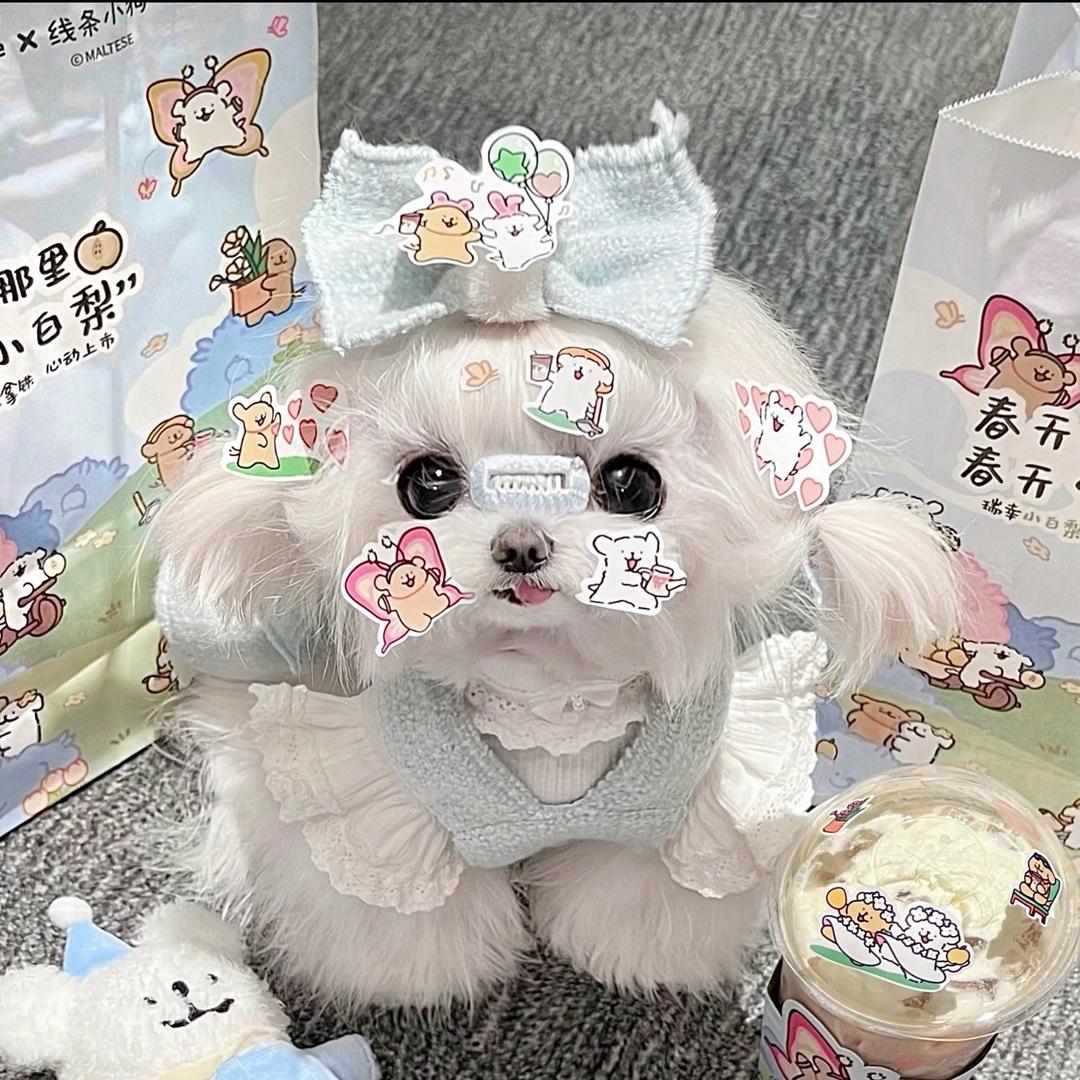十五天