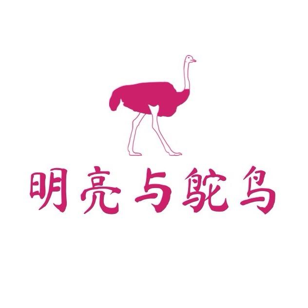 明亮与鸵鸟