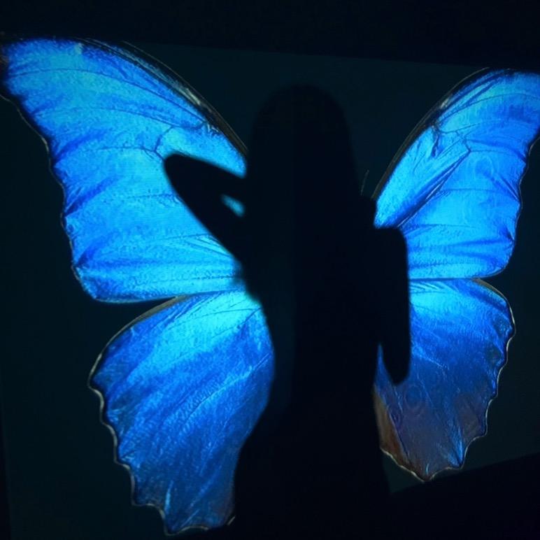 寻鹿🧚🏻‍♀️