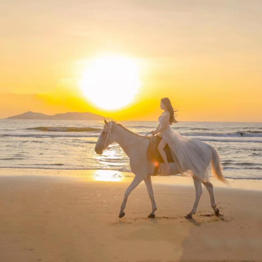 卖激光位移传感器的小雪