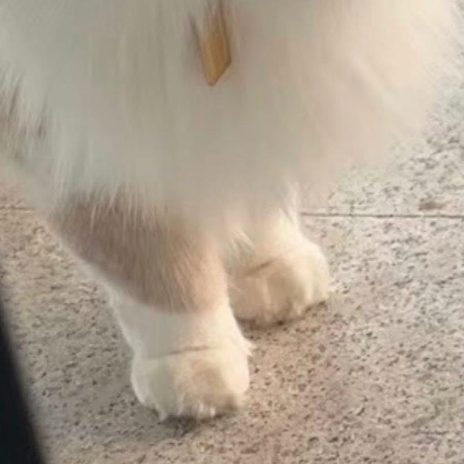 轻舟已撞大冰山