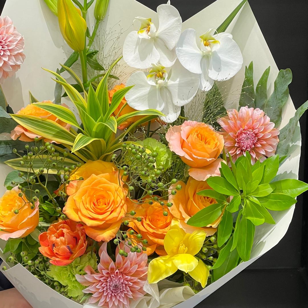 莫裏MOLIFLOWER