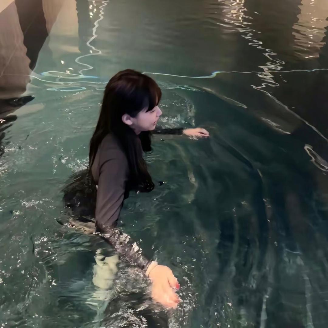 爱吃香菜-/