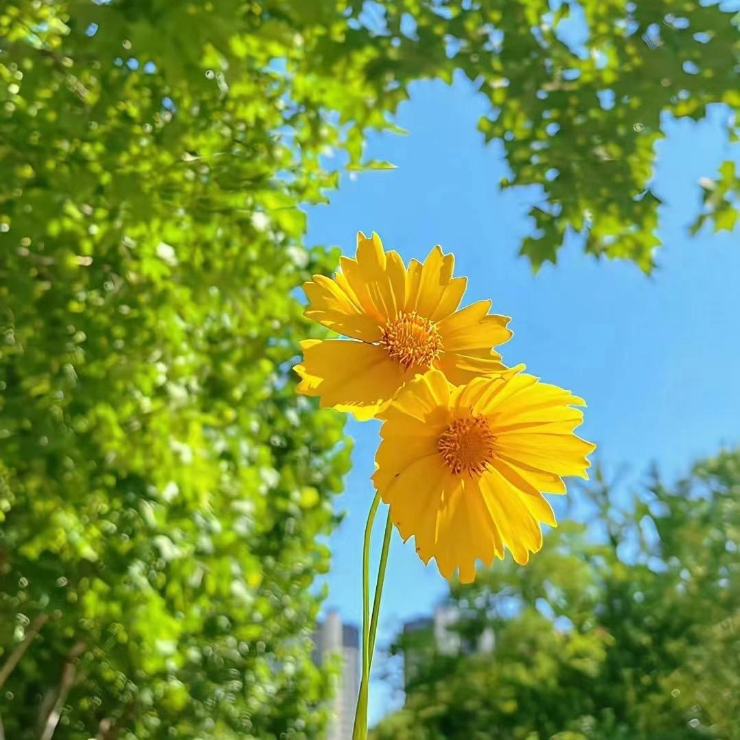 空城旧亿，故人离。