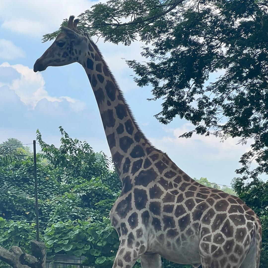 明目张眼