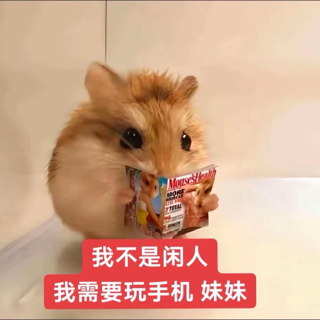 用户呱呱大王1002