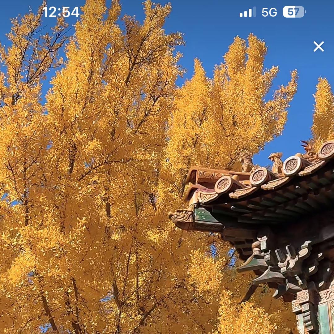 浅夏微凉🇨🇳