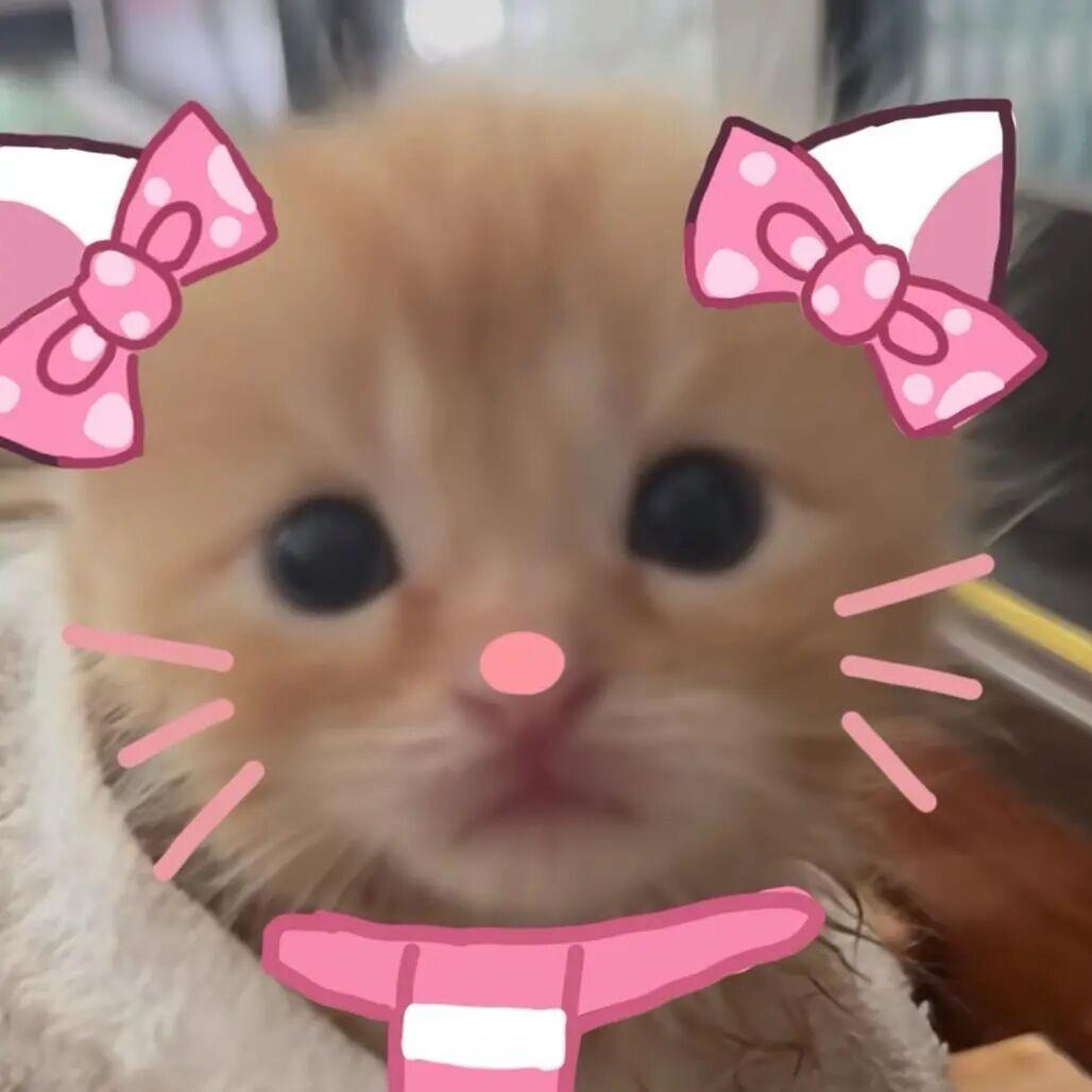🍀幸运酥