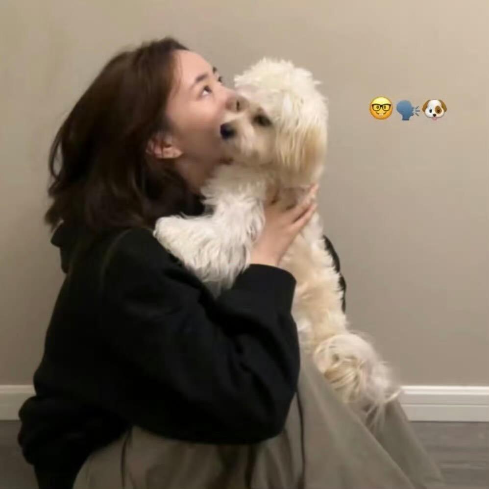 招财猫的小铃铛