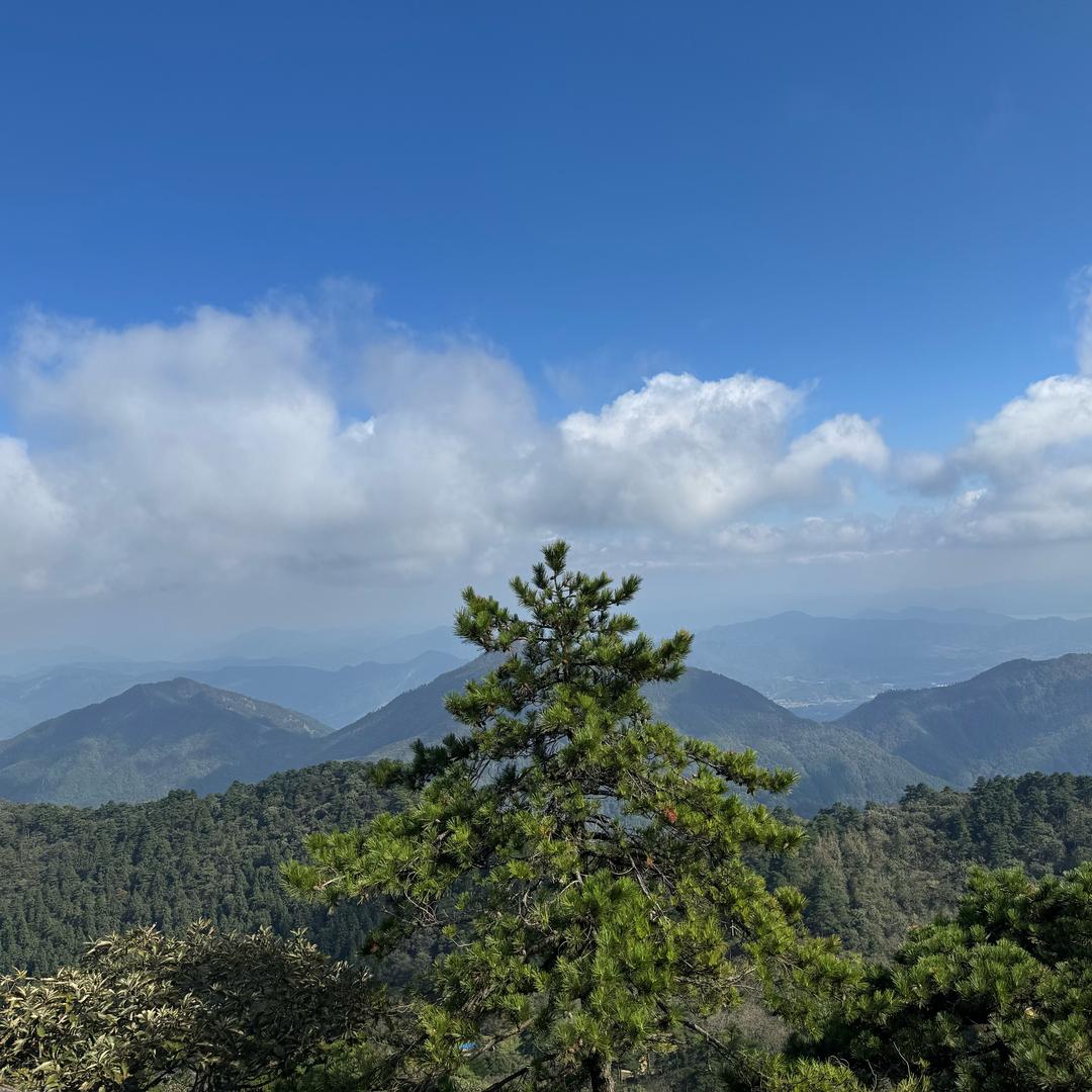 国新小哥哥