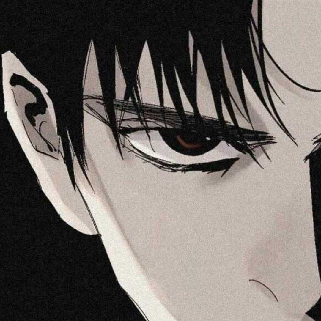 小猪小猪胖乎乎