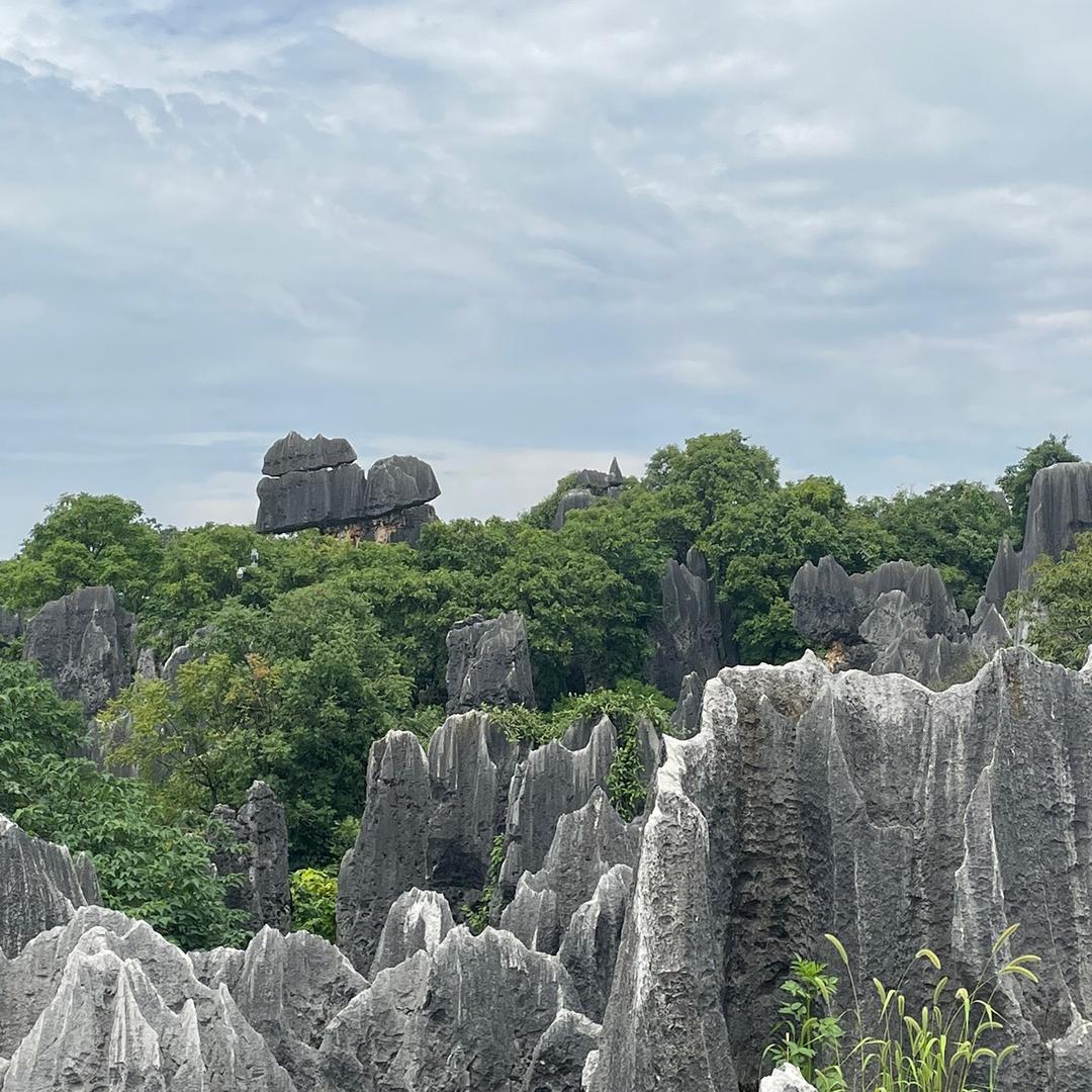 光忙万丈🌈🌈