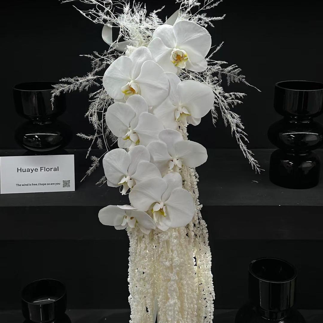 昆明悠韵蝴蝶兰