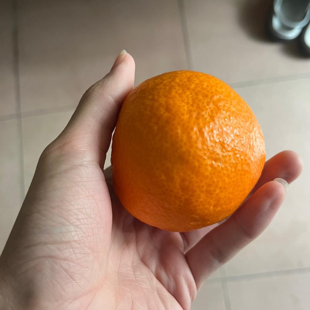 小鲨不喜欢吃🐟