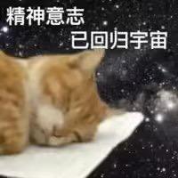 阿橘你又在打电动喔