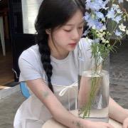 暮色蔷薇