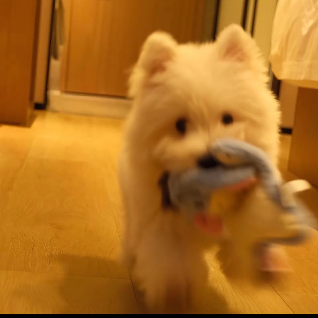 元气满满的老李