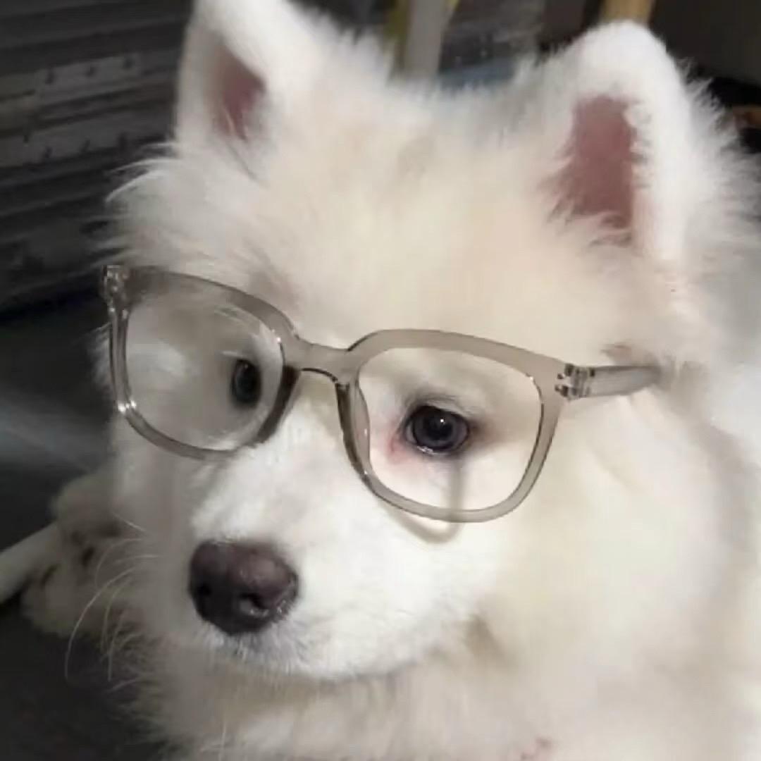 我好烦
