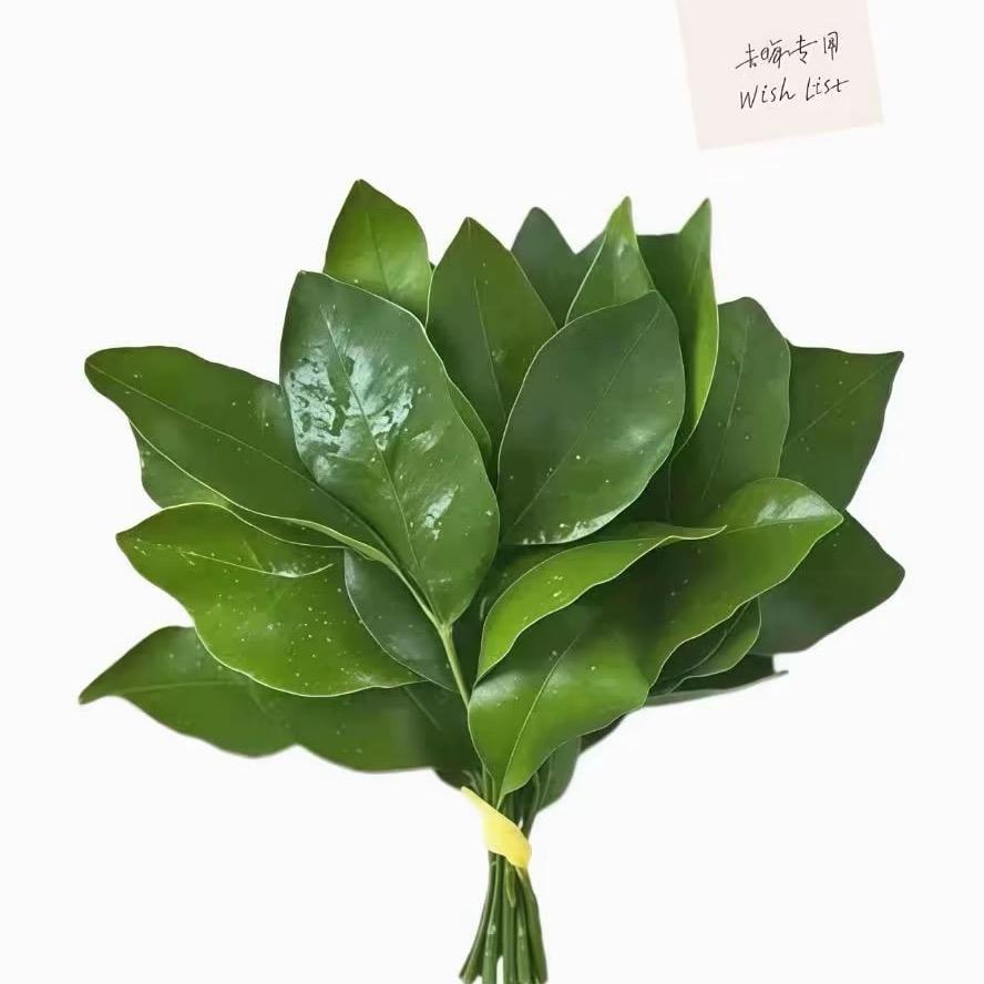 露思