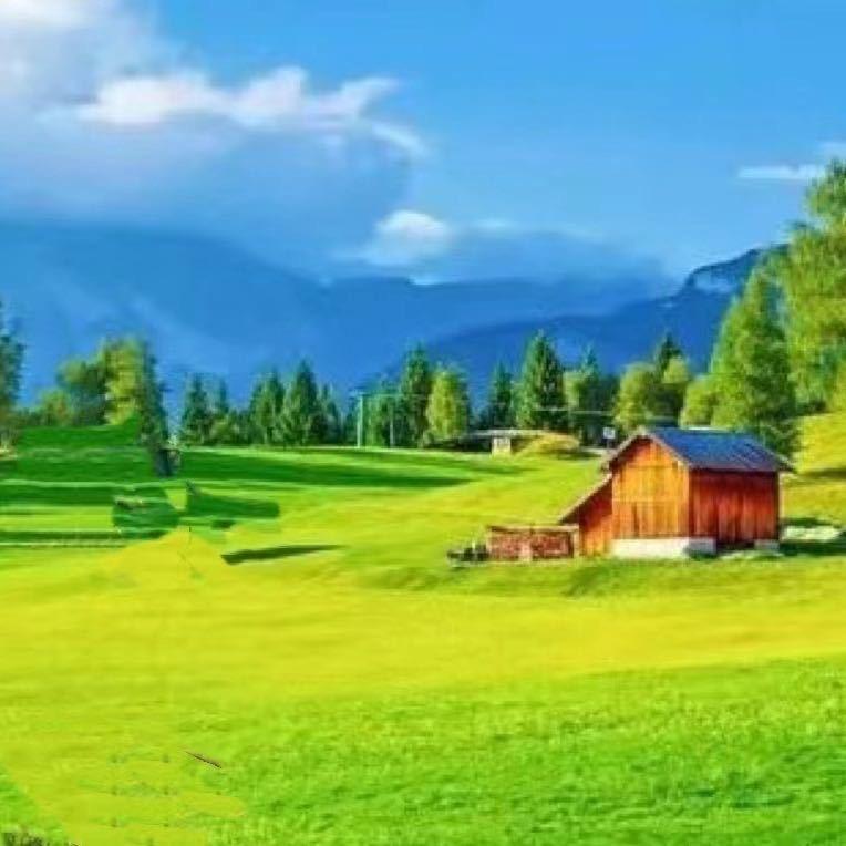 大溪曼天雨（拒绝私聊）