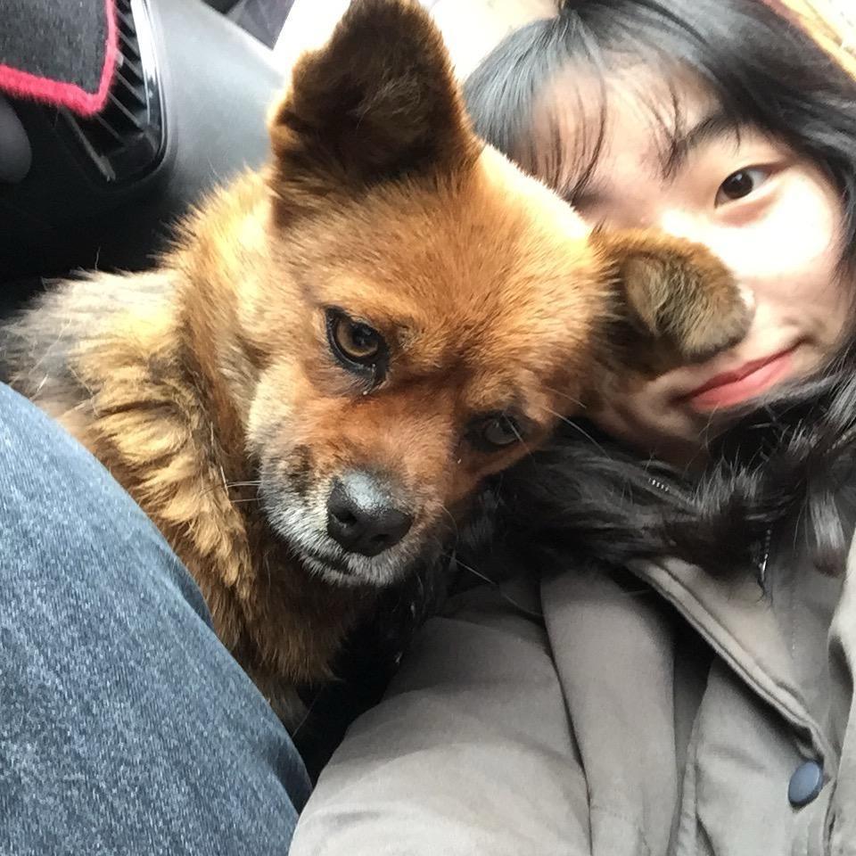 莫拉古～