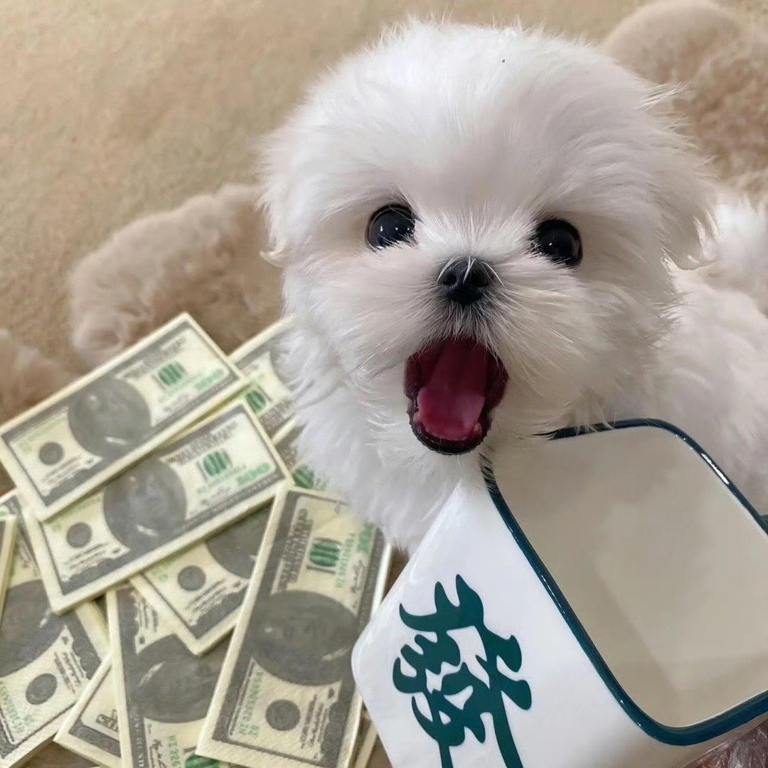 柯茂鞋类优选