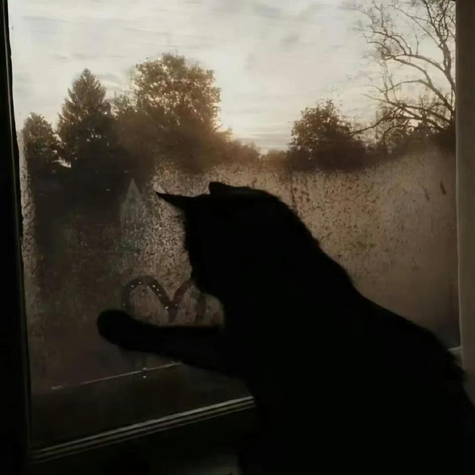 ？